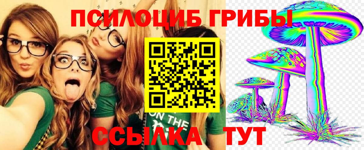 Псилоцибиновые грибы Psilocybine cubensis Снежинск