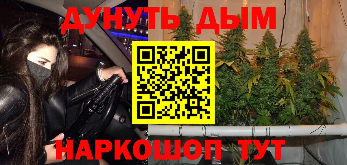 Каннабис SATIVA & INDICA  МАРИХУАНА семена  Вход с VPN  Канабис Ganja  Снежинск  Бошки Шишки SATIVA & INDICA 